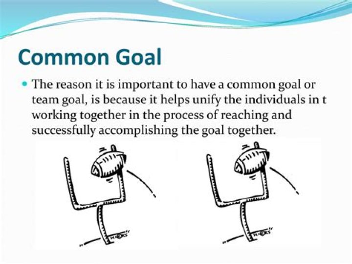 Why is it important to work towards a common goal?