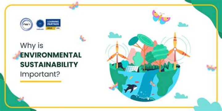 Why is the environment important in hospitality industry?