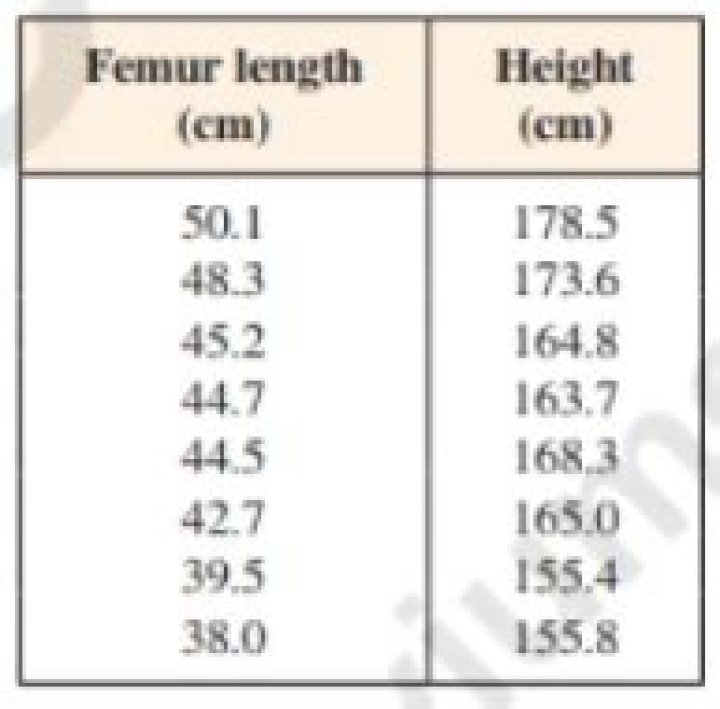 Why is the femur used to determine height?