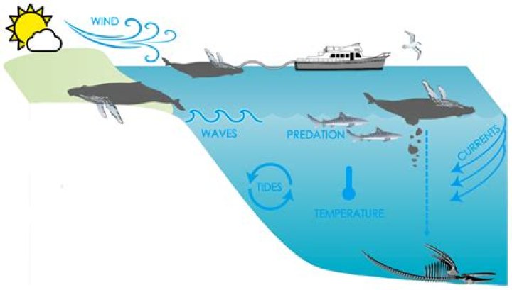 Why should oceanographers be concerned about the ocean?