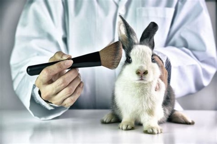 Why testing cosmetics on animals is good?