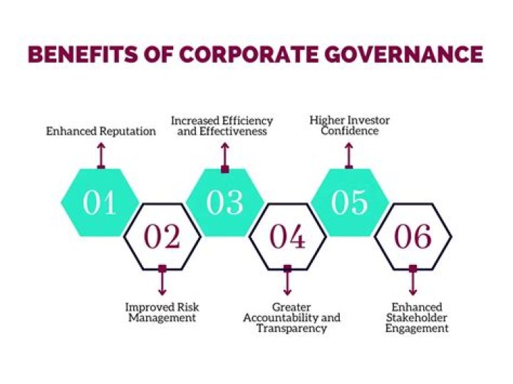 Why would Effective corporate governance be in place?