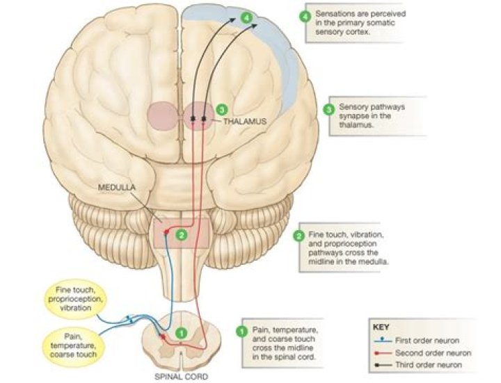 Will SSDI get third stimulus?